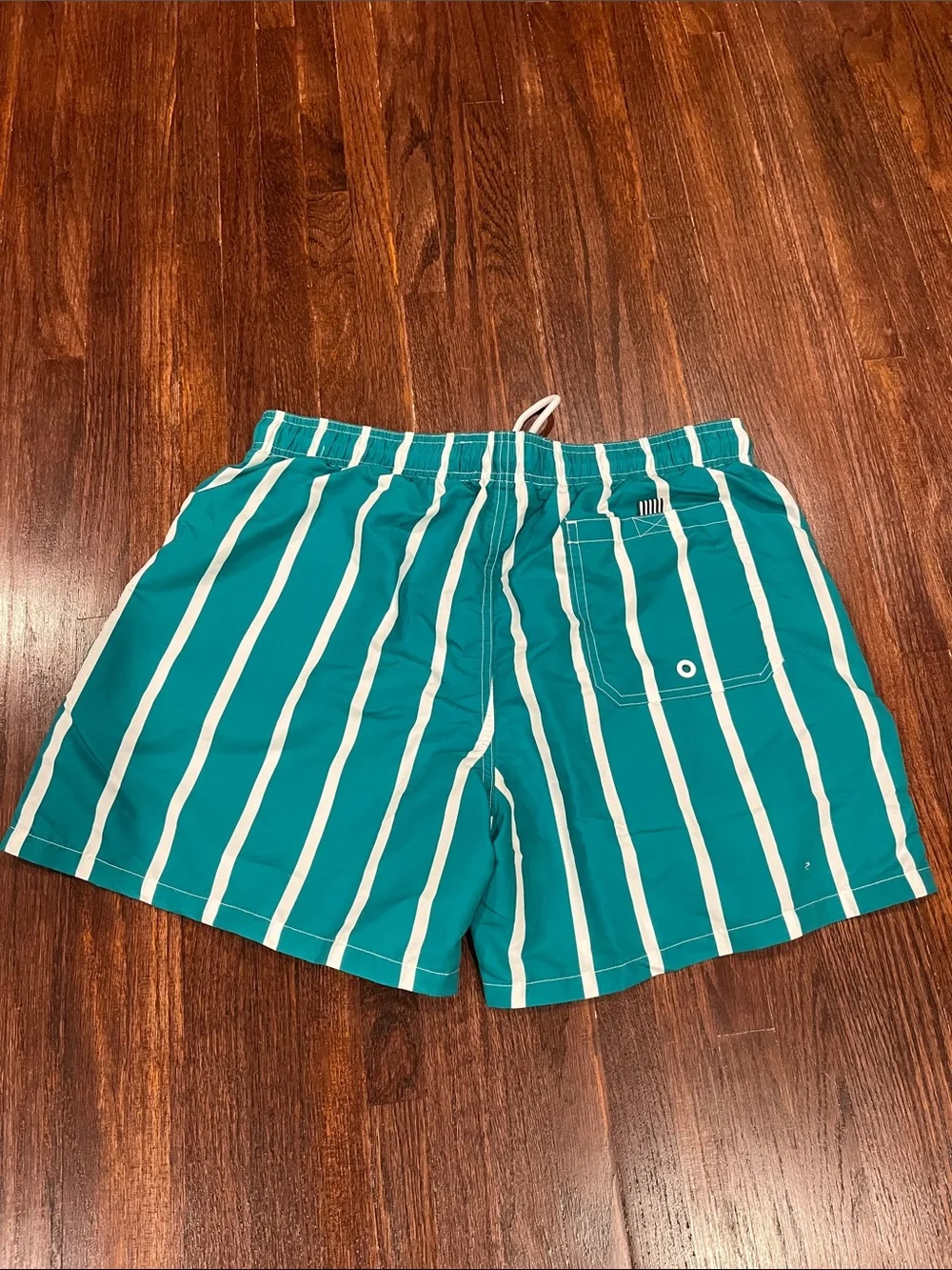 SHEIN Teal and White Vertical Stripe Swim Trunks